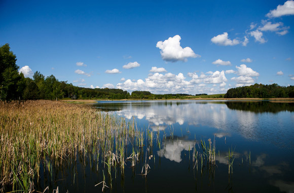 Stovykla „Kernavės bajoryne“