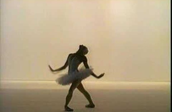 VIDEO kadras: Maja Pliseckaja - Mirštanti gulbė