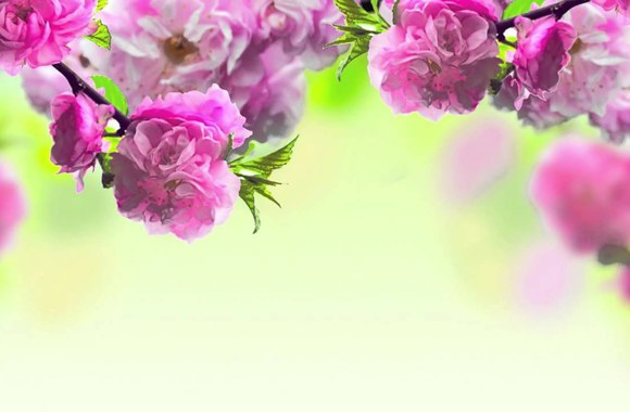 VIDEO kadras: Urte  - Mamai