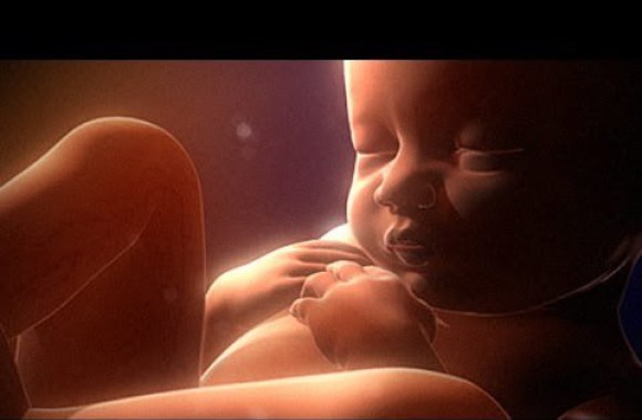 VIDEO kadras:  9 mėnesiai gyvenimo mamos įsčiose per 4 minutes