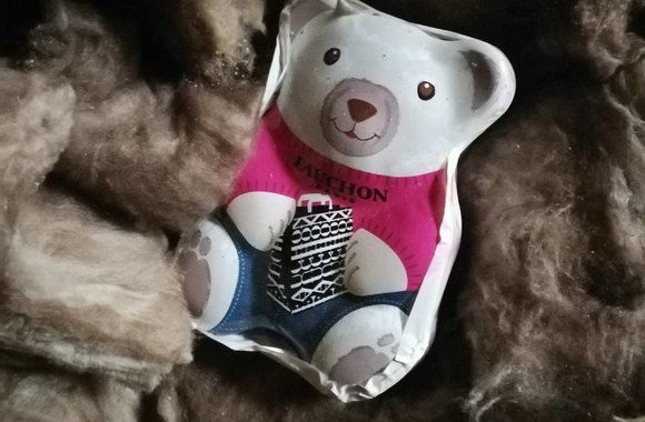 Žygimantas Stakėnas su sūnumi siunčia žinutę ateities kartoms