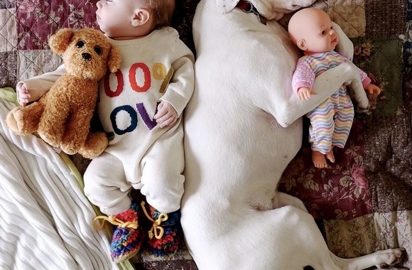 Tėvų užfiksuota jauki kūdikio ir šuns draugystė