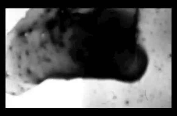 VIDEO kadras: Who is Puzzleman?