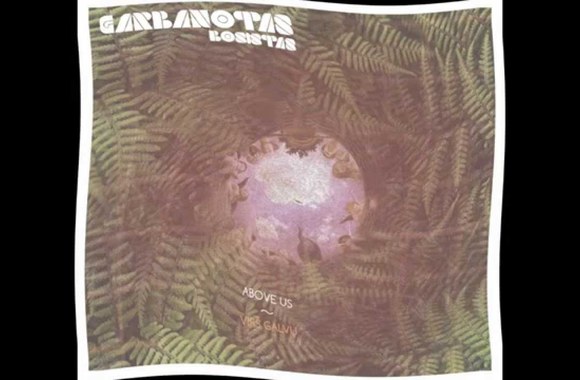 garbanotas-bosistas-geleta-suknia