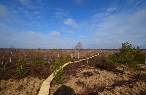 Mūšos tyrelio peizažas/Asmeninio archyvo nuotr.