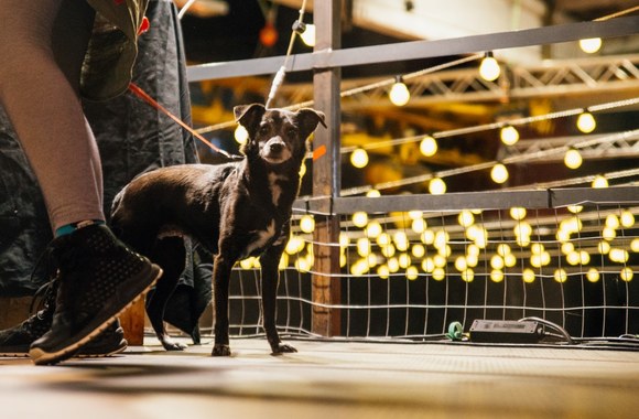 „Uptown Spring Market“/Deivido Stankūno nuotr.