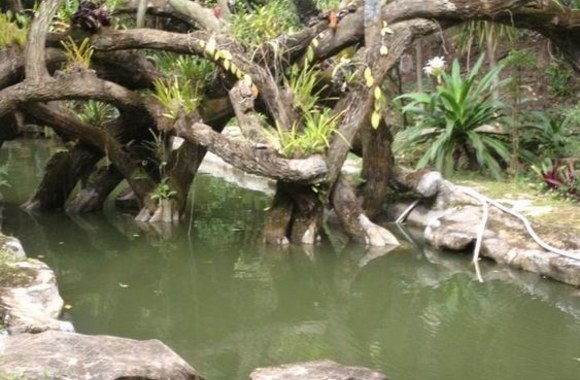 Atostogų Vietname akimirka