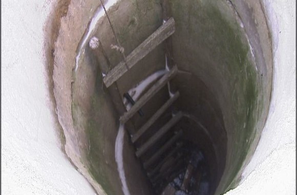 Laidos „Valanda su Rūta“ eksperimentas