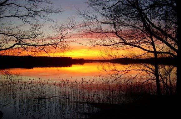 VIDEO kadras: Humanoidai ir Edilija  -\"Vėjuose gėlė\"