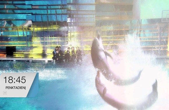 VIDEO kadras: Delfinai ir žvaigždės: vasario 13 d. laidos anonsas
