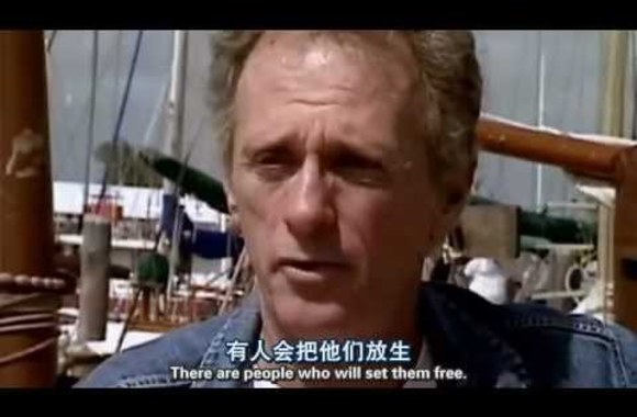 VIDEO kadras: [電影] 血色海灣 The Cove