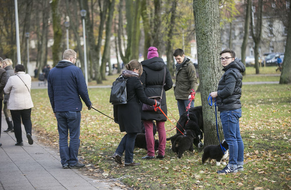 Sekmadienio akimirka