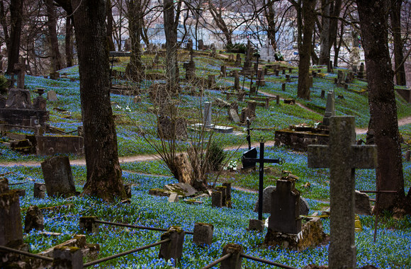 Pasivaikčiojimai su Greta Skaraitiene: Bernardinų kapinės/Gretos Skaraitienės/„ŽMONĖS Foto“ nuotr.