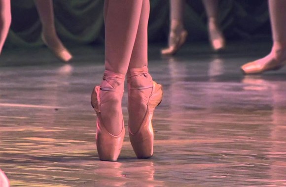 VIDEO kadras: Kanifolijos dulkėse