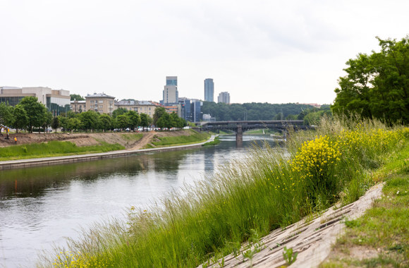 Nešienaujamos Vilniaus pievos / Luko Balandžio / BNS nuotr.