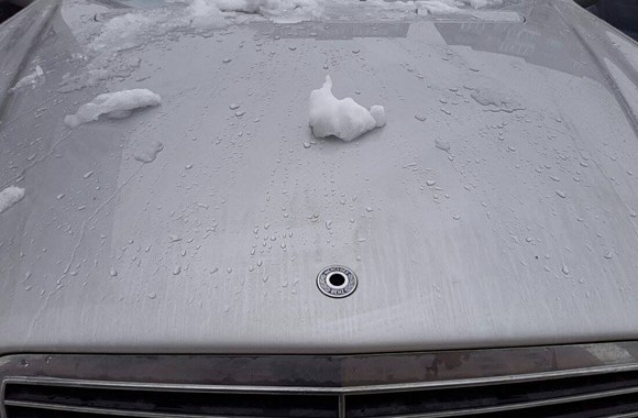 Pauliaus Bagdanavičiaus automobilis su nuluptu ženkliuku