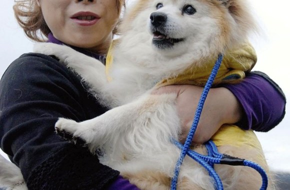 Šunys ir jų šeimininkai