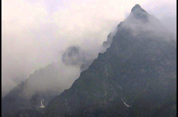 alio-die-regeneration