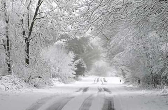 VIDEO kadras: Frank Sinatra – Let It Snow