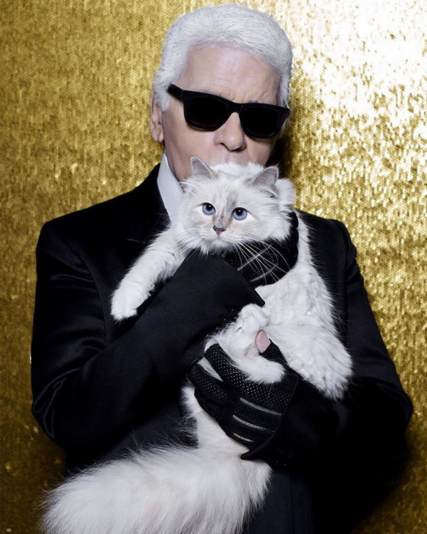 Karlas Lagerfeldas su katyte Choupette / Vida Press nuotr.