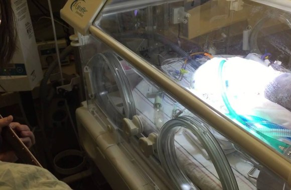 VIDEO kadras: Blackbird with Lennon