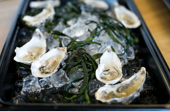 Pažinties su restorano „Busy Beet“ meniu akimirkos 