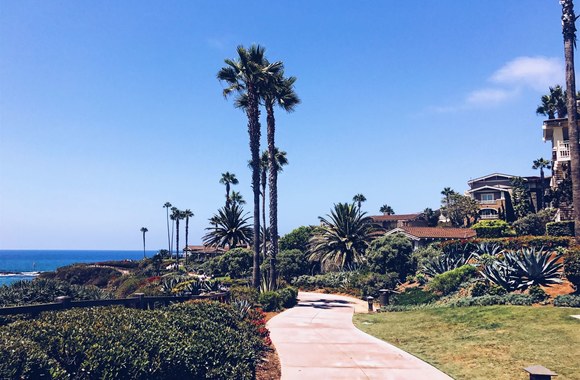 Neringa Šiaudikytė Los Andžele