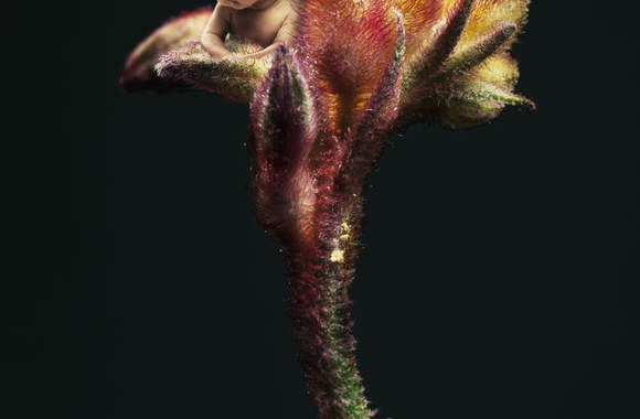 Parodos „Pirmieji žiedai“ kadras