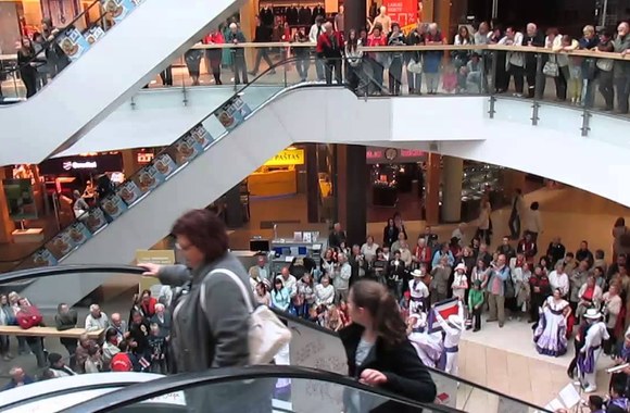 kosta-rikos-sokejai-saules-ziedo-festivalyje