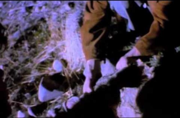 a-ha-crying-in-the-rain