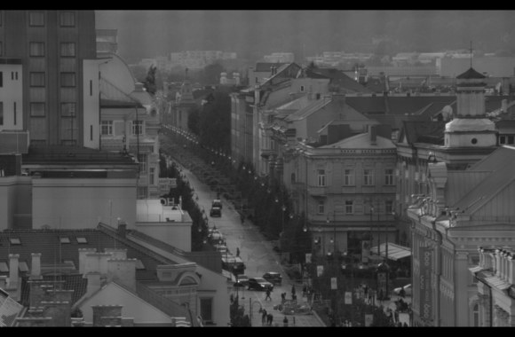 Kadrai iš koliažo „Tarsi Vilnius“ kūrybinio proceso / Eitvydo Doškaus nuotr.